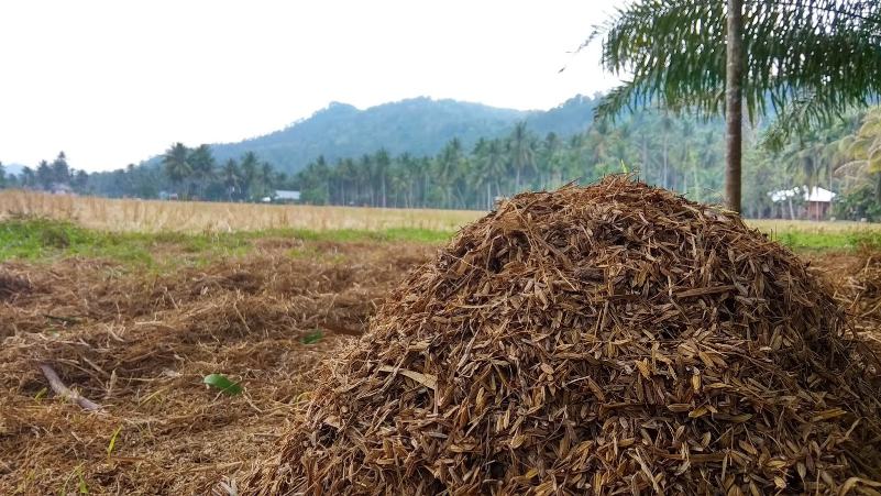 Daur Ulang Limbah Pertanian