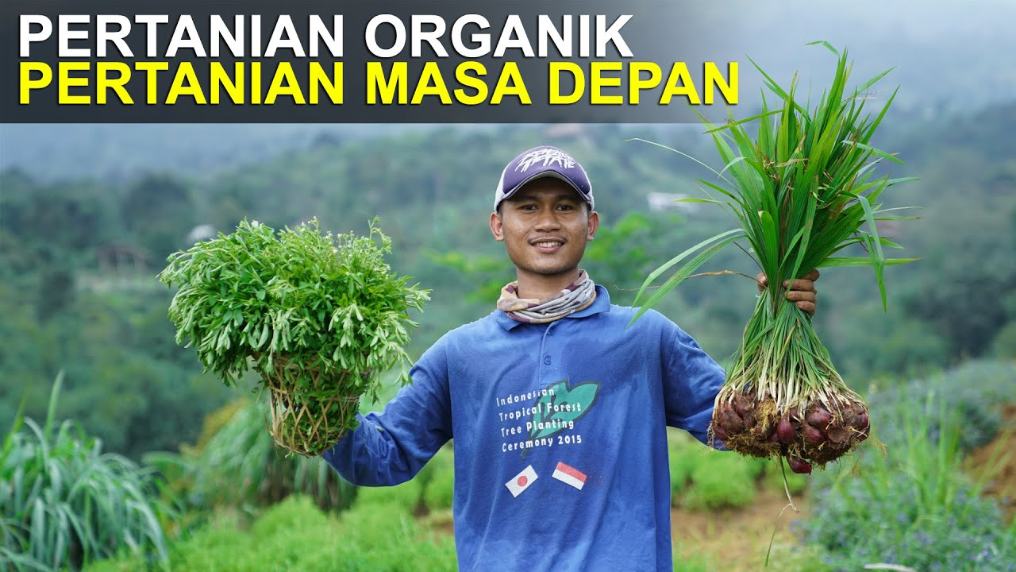 Hasil Pertanian Lebih Sehat