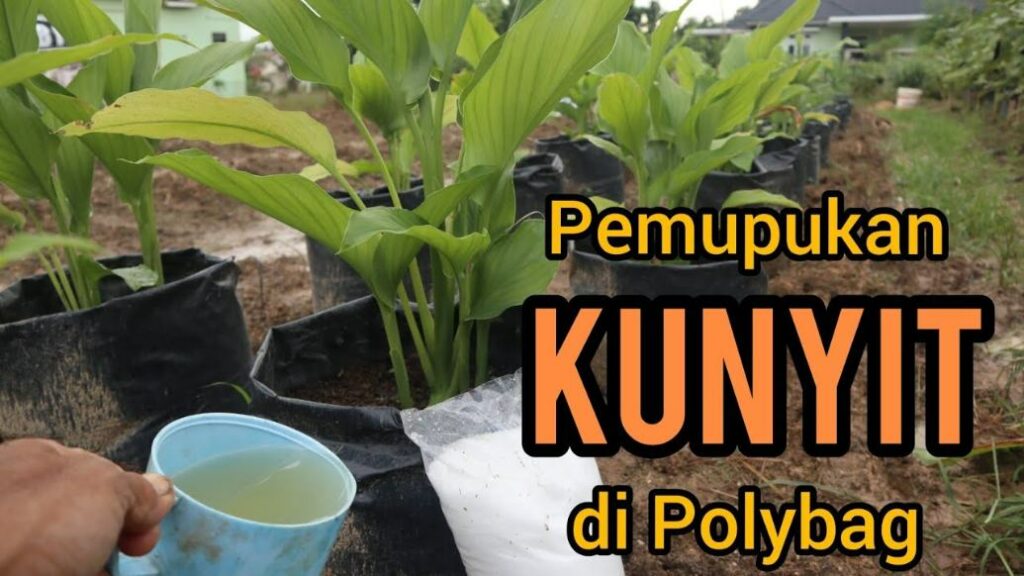 Pemupukan