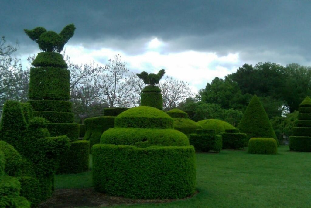 Awan Topiary