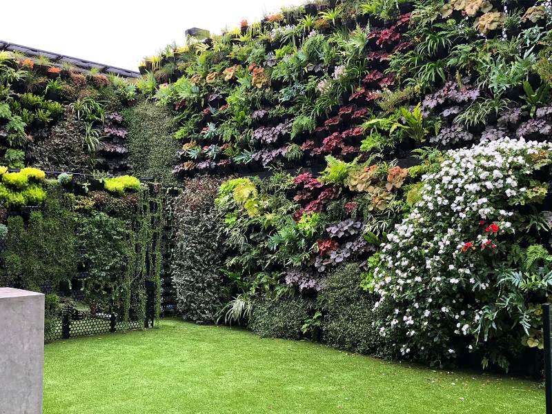 Karakteristik Tanaman Vertical Garden