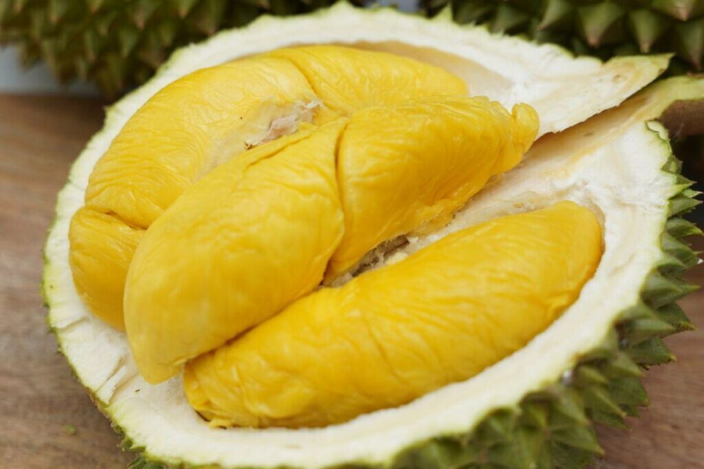 Masa Panen Durian Montong cara menanam durian montong