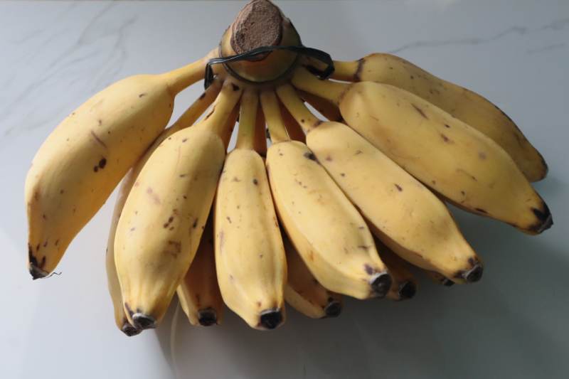 Pisang Kepok