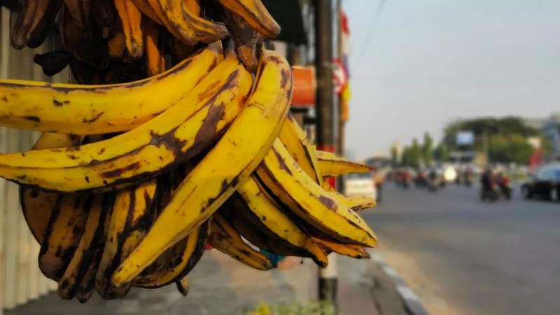 Pisang Tanduk