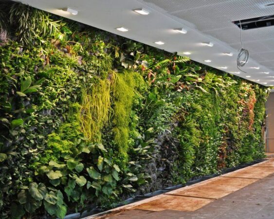 jenis tanaman untuk vertical garden