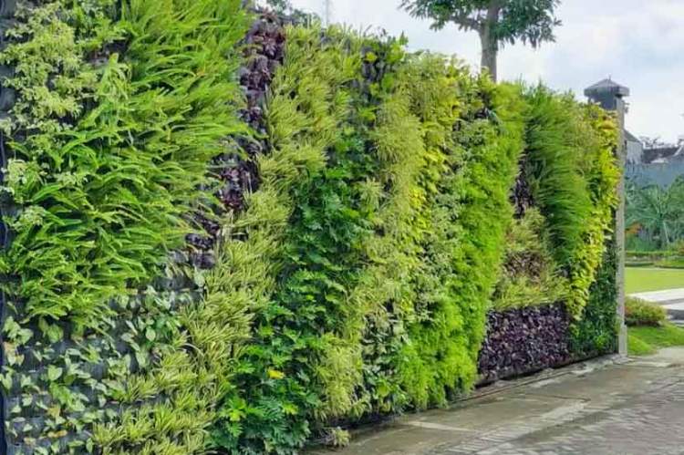 Kekurangan dari Vertical Garden Farning