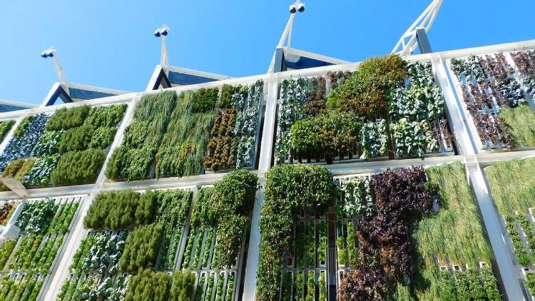 Kelebihan dari Vertical Garden Farning