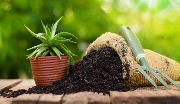 Proses Membuat Kompos dari Limbah Alam