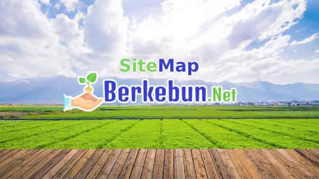 Sitemap Berkebun.net