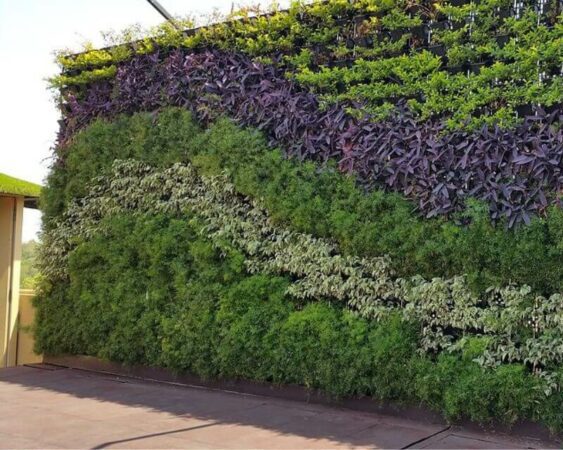 media tanam vertical garden