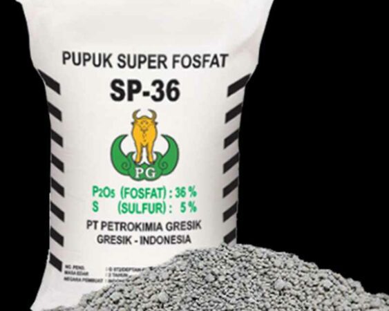 fungsi pupuk tsp