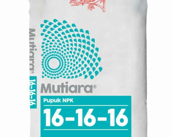 harga pupuk mutiara