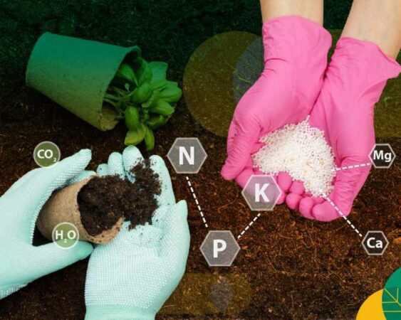 harga pupuk non subsidi
