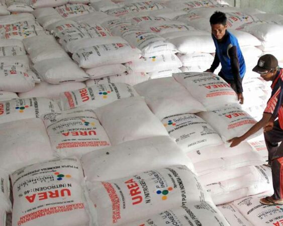 harga pupuk subsidi