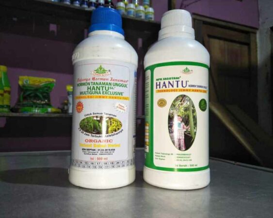 jenis pupuk daun