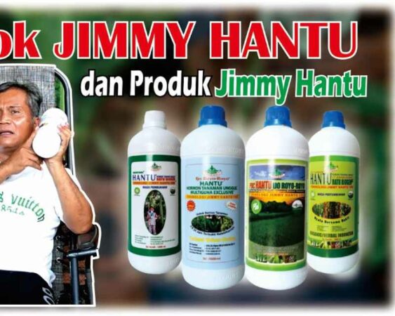 pupuk jimmy hantu