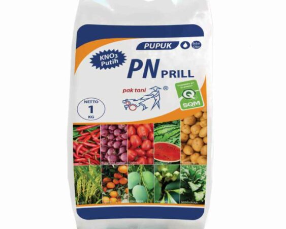 pupuk kno3 putih