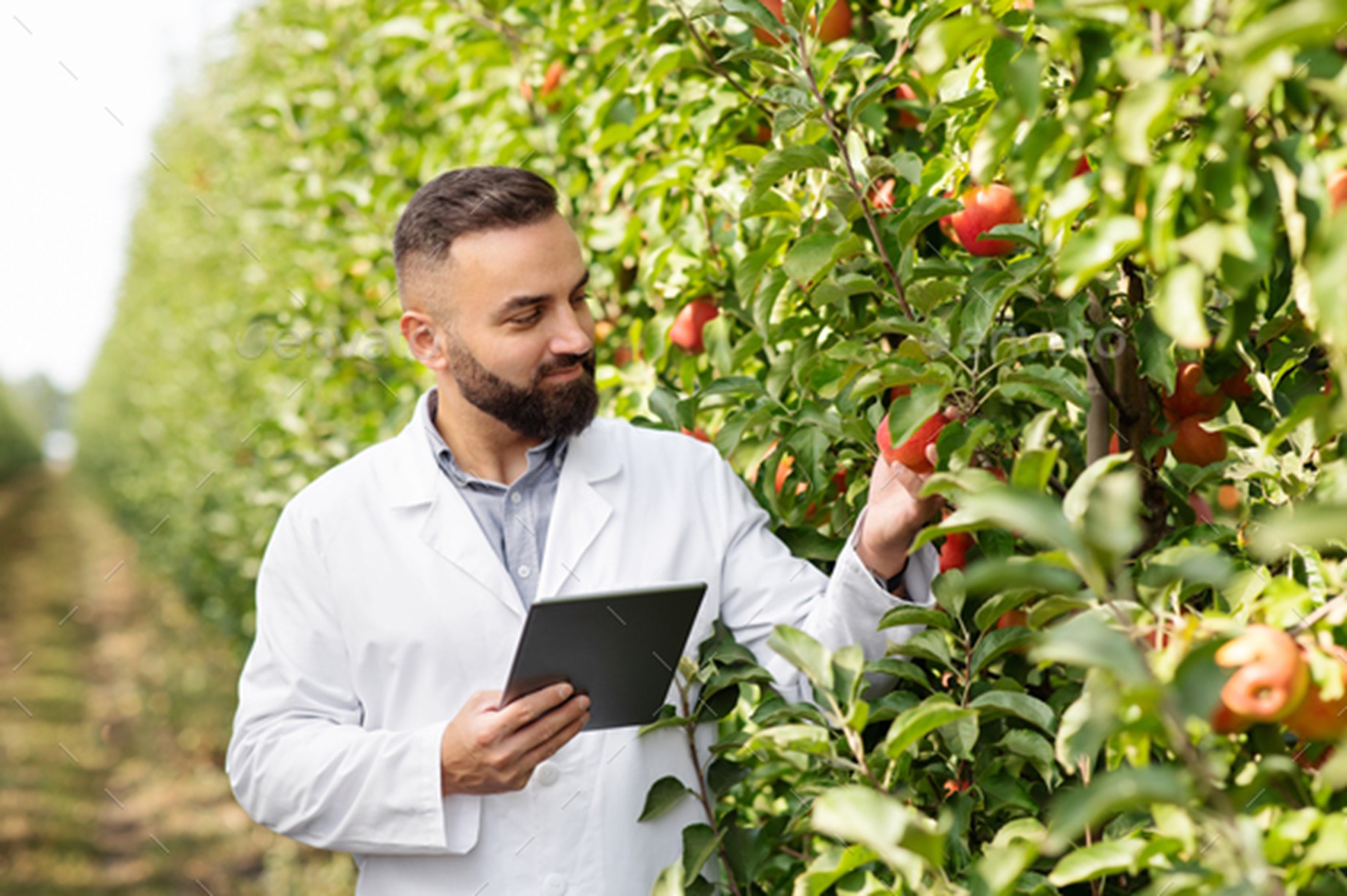 Top Agriculture Business Degrees Online In 2023