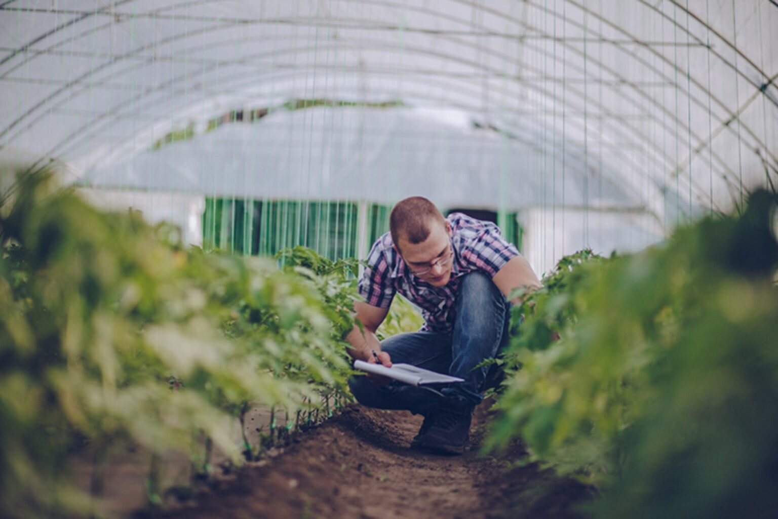 A Detailed Guide To Agriculture Business Degree